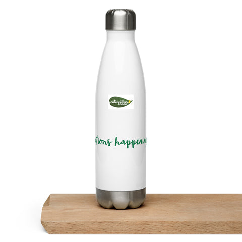 stainless steel water bottle